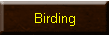Birding